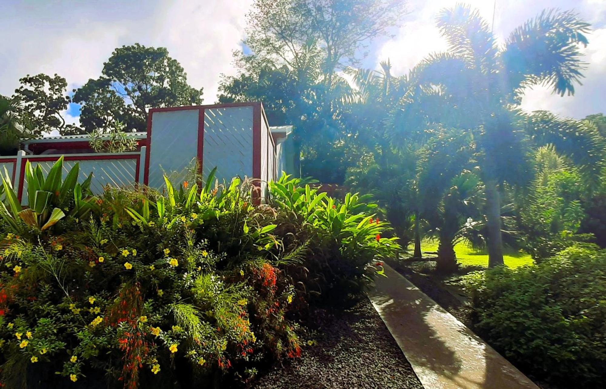 Caraibes Cottage Grenat Piscine Privee 900M De Grande Anse Deshaies Exterior photo