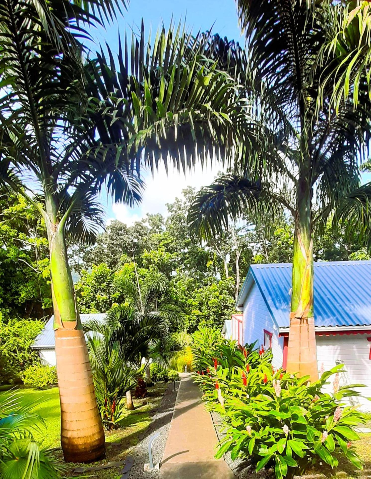 Caraibes Cottage Grenat Piscine Privee 900M De Grande Anse Deshaies Exterior photo