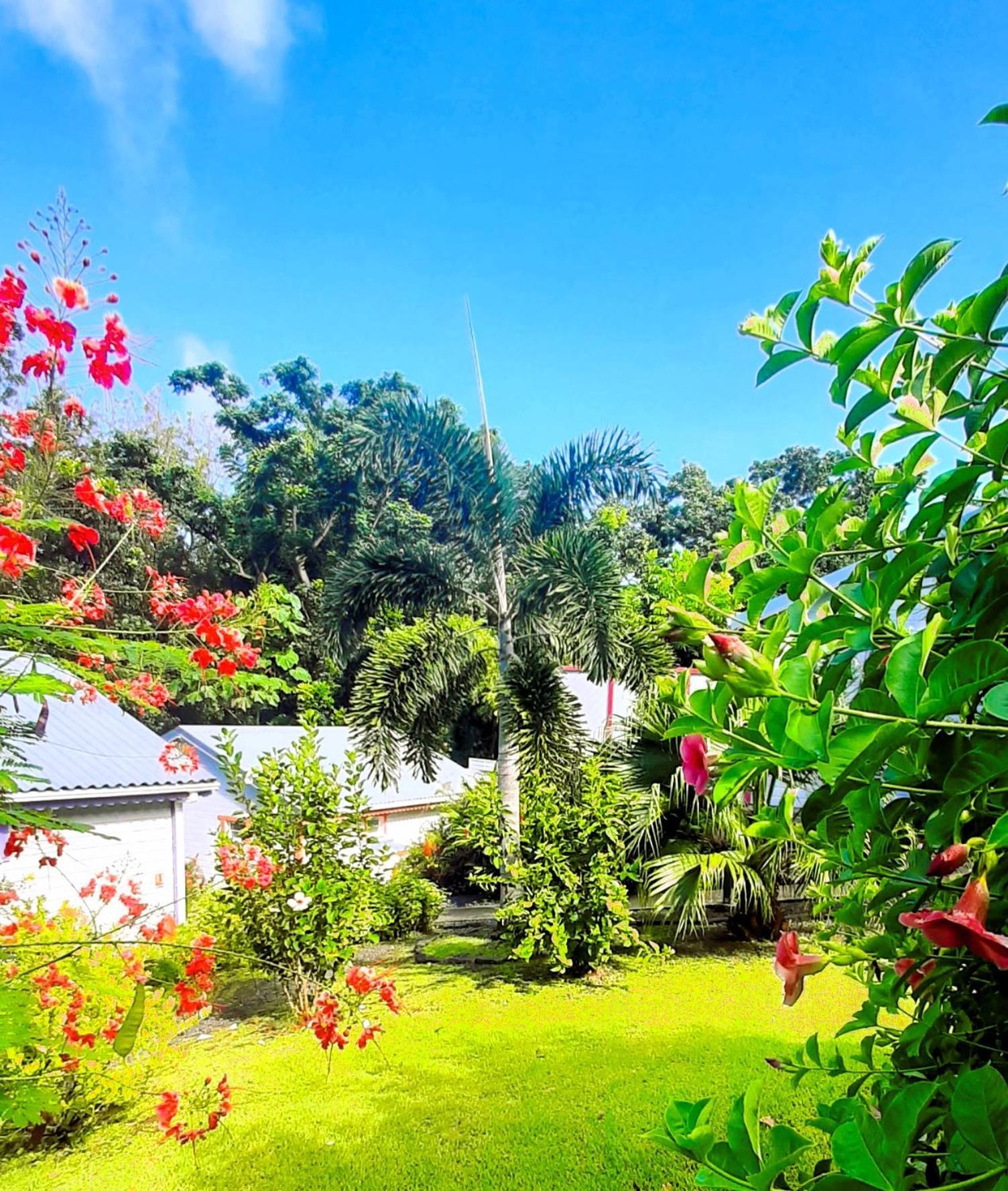 Caraibes Cottage Grenat Piscine Privee 900M De Grande Anse Deshaies Exterior photo
